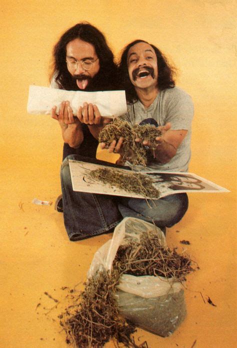 Cheech and Chong's Magical Powder: A Journey into Psychedelia